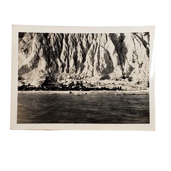 Vtg B&W Photo 1940s Found Seal Island Seals Swimming Ocean Animalcore Snapshot - Picture 1 of 4
